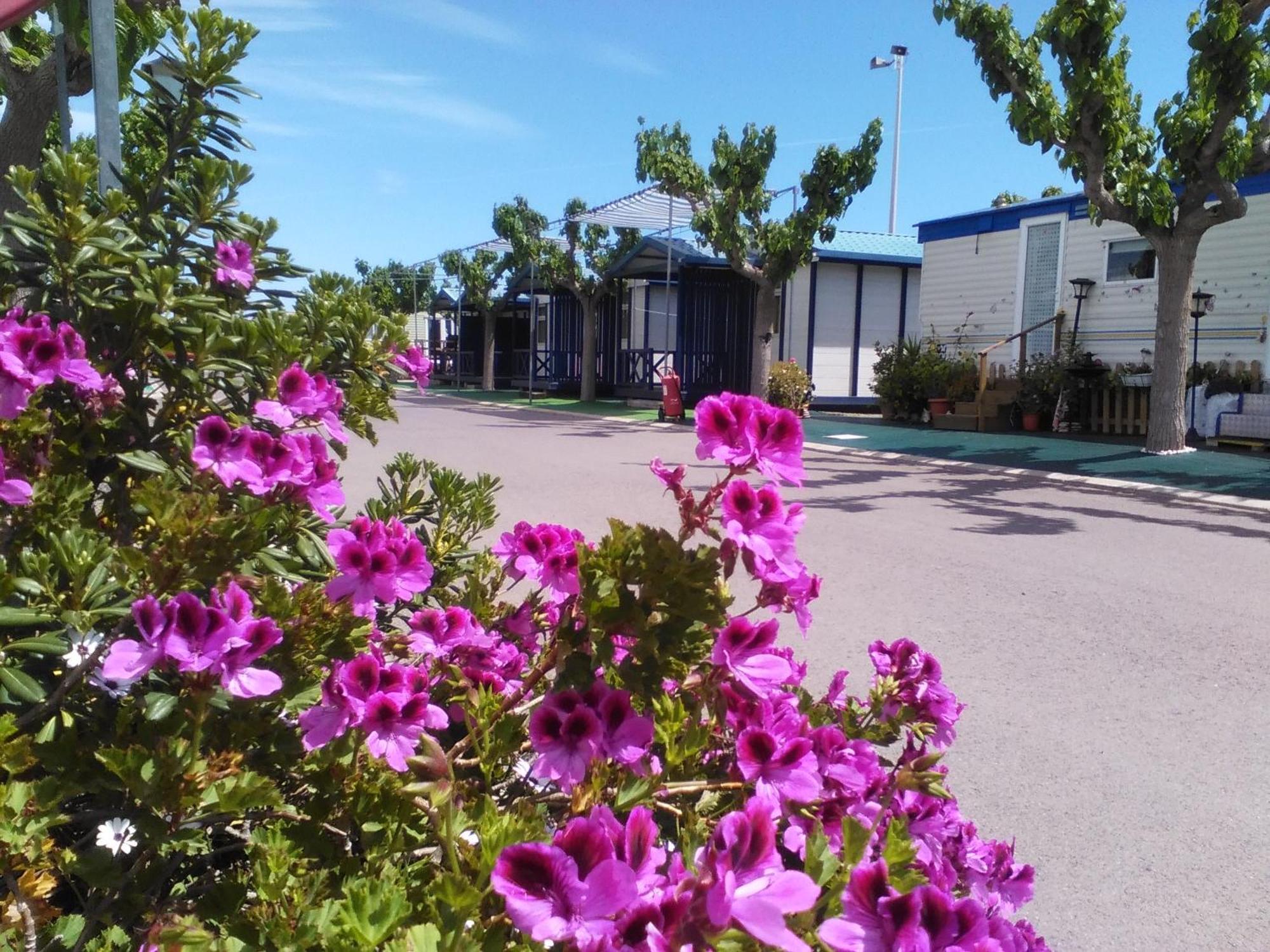 Camping Y Bungalows Monmar Монкофар Номер фото