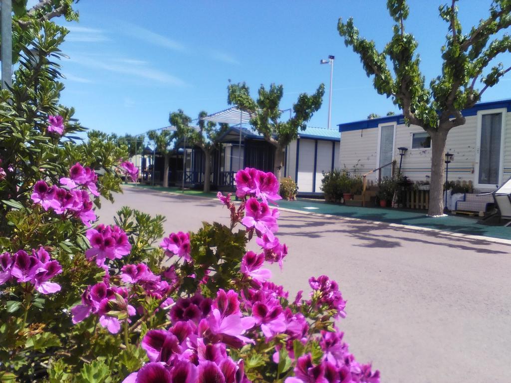 Camping Y Bungalows Monmar Монкофар Екстер'єр фото