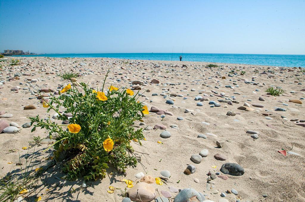 Camping Y Bungalows Monmar Монкофар Екстер'єр фото