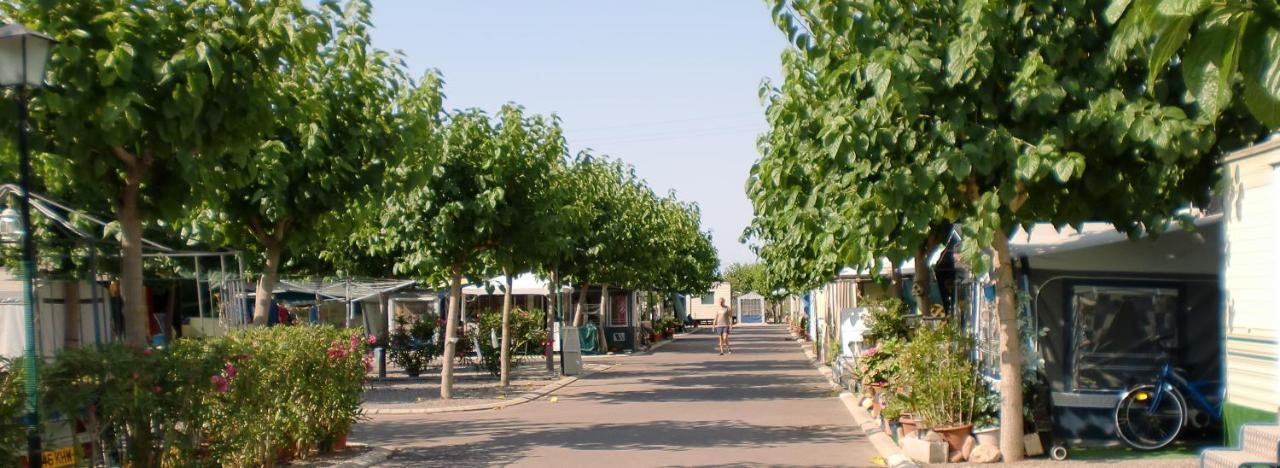 Camping Y Bungalows Monmar Монкофар Екстер'єр фото